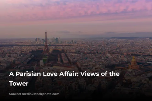 A Parisian Love Affair: Views of the Eiffel Tower