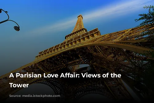 A Parisian Love Affair: Views of the Eiffel Tower