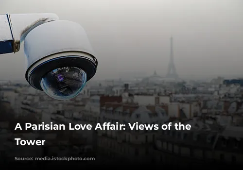 A Parisian Love Affair: Views of the Eiffel Tower