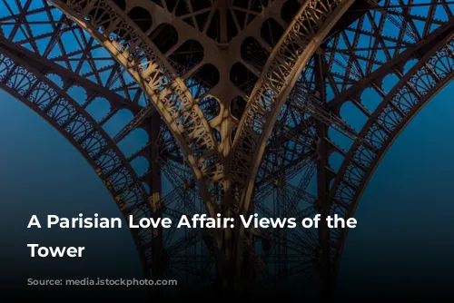 A Parisian Love Affair: Views of the Eiffel Tower