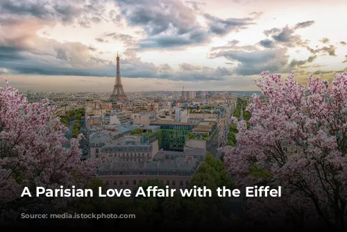 A Parisian Love Affair with the Eiffel Tower