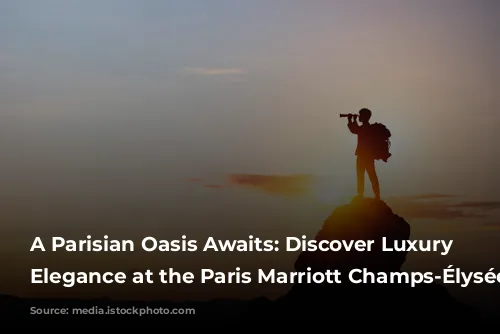 A Parisian Oasis Awaits: Discover Luxury and Elegance at the Paris Marriott Champs-Élysées Hotel