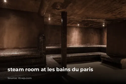 steam room at les bains du paris