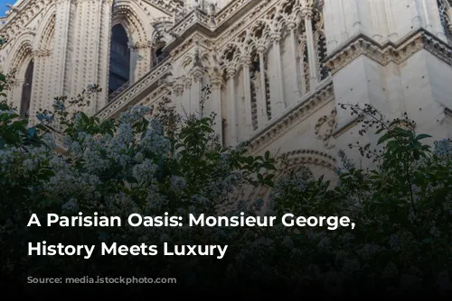 A Parisian Oasis: Monsieur George, Where History Meets Luxury