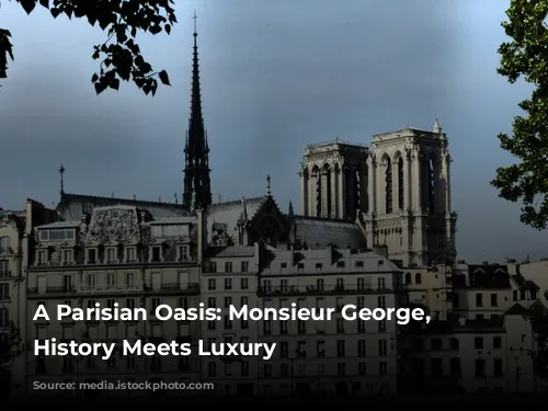 A Parisian Oasis: Monsieur George, Where History Meets Luxury