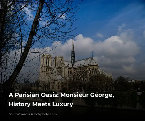 A Parisian Oasis: Monsieur George, Where History Meets Luxury