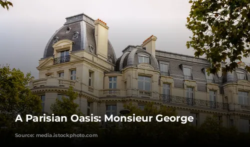 A Parisian Oasis: Monsieur George