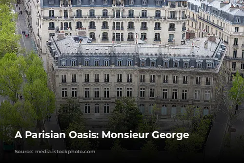 A Parisian Oasis: Monsieur George