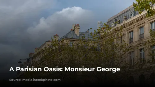 A Parisian Oasis: Monsieur George