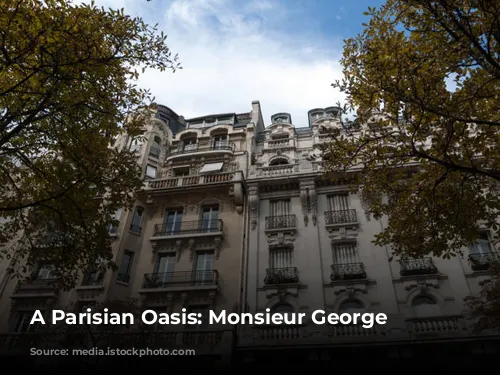 A Parisian Oasis: Monsieur George