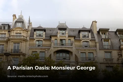 A Parisian Oasis: Monsieur George