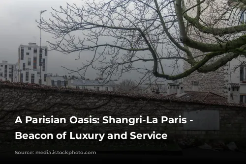 A Parisian Oasis: Shangri-La Paris - A Beacon of Luxury and Service