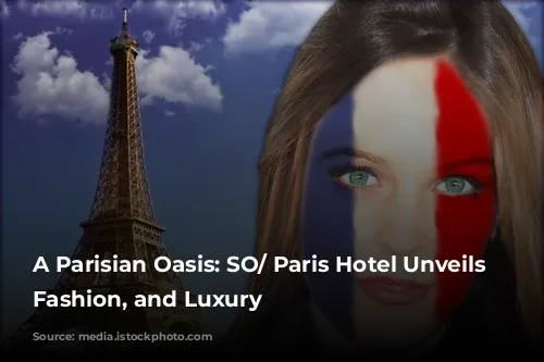 A Parisian Oasis: SO/ Paris Hotel Unveils Art, Fashion, and Luxury