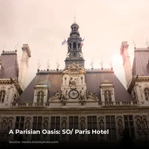 A Parisian Oasis: SO/ Paris Hotel