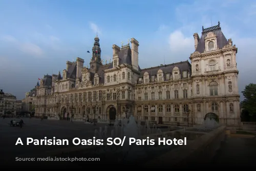 A Parisian Oasis: SO/ Paris Hotel