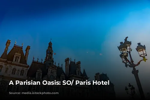 A Parisian Oasis: SO/ Paris Hotel