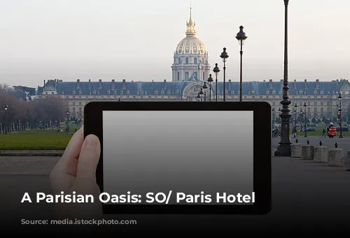 A Parisian Oasis: SO/ Paris Hotel