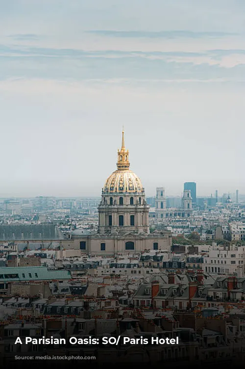 A Parisian Oasis: SO/ Paris Hotel