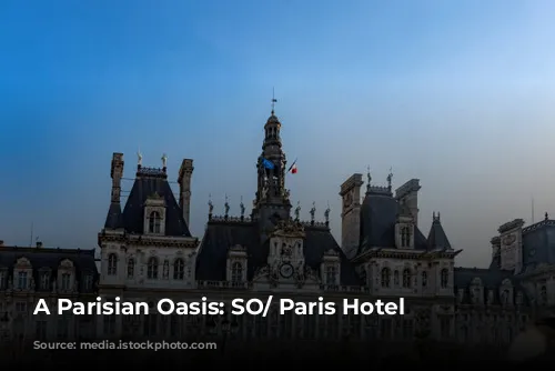 A Parisian Oasis: SO/ Paris Hotel