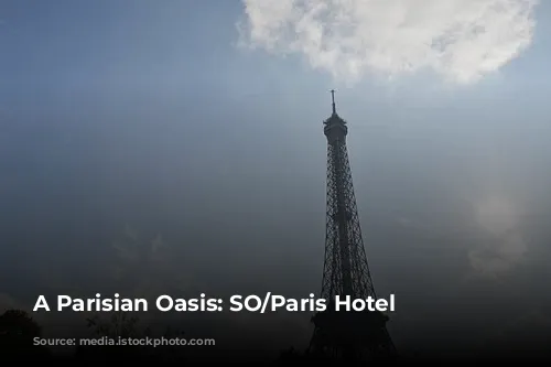 A Parisian Oasis: SO/Paris Hotel