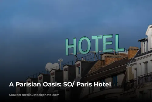 A Parisian Oasis: SO/ Paris Hotel