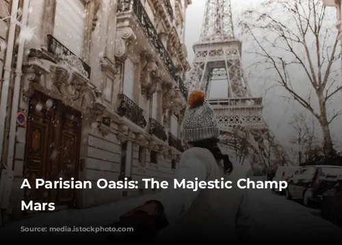 A Parisian Oasis: The Majestic Champ de Mars