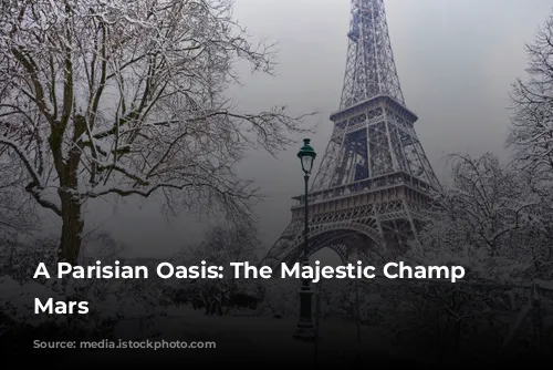 A Parisian Oasis: The Majestic Champ de Mars