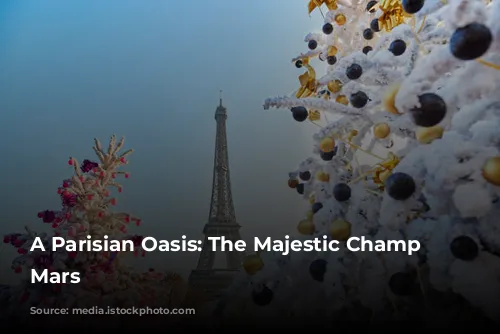 A Parisian Oasis: The Majestic Champ de Mars