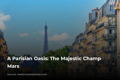 A Parisian Oasis: The Majestic Champ de Mars