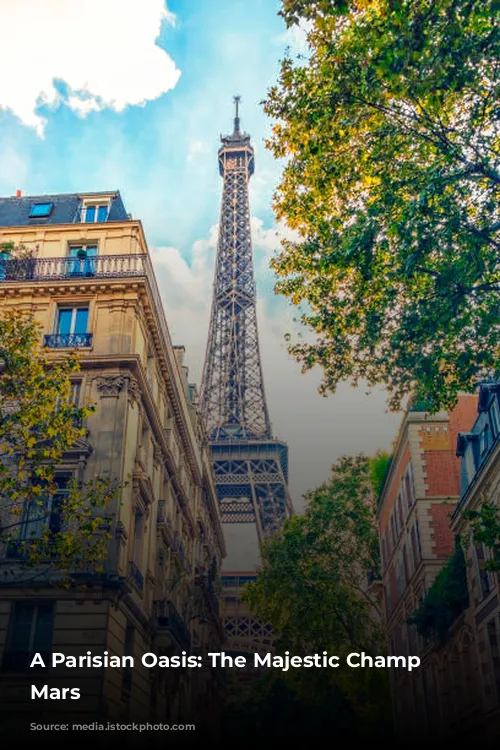 A Parisian Oasis: The Majestic Champ de Mars