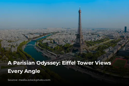 A Parisian Odyssey: Eiffel Tower Views From Every Angle