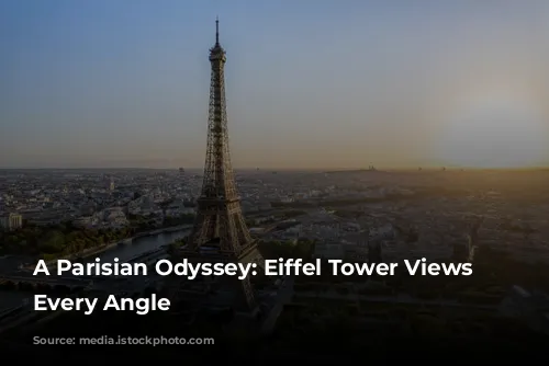 A Parisian Odyssey: Eiffel Tower Views From Every Angle