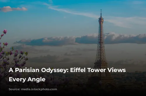 A Parisian Odyssey: Eiffel Tower Views From Every Angle