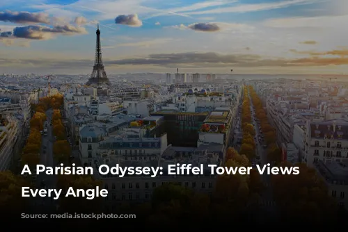 A Parisian Odyssey: Eiffel Tower Views From Every Angle