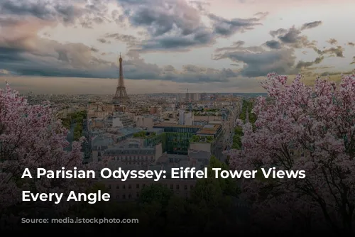 A Parisian Odyssey: Eiffel Tower Views From Every Angle