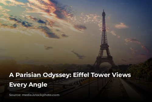 A Parisian Odyssey: Eiffel Tower Views From Every Angle