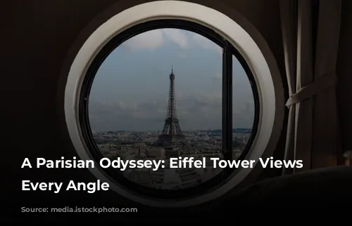 A Parisian Odyssey: Eiffel Tower Views From Every Angle