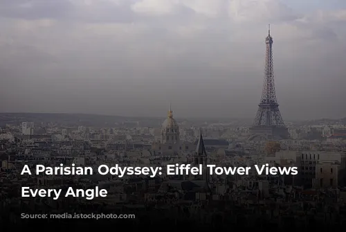 A Parisian Odyssey: Eiffel Tower Views From Every Angle