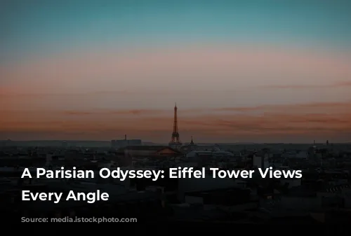 A Parisian Odyssey: Eiffel Tower Views From Every Angle