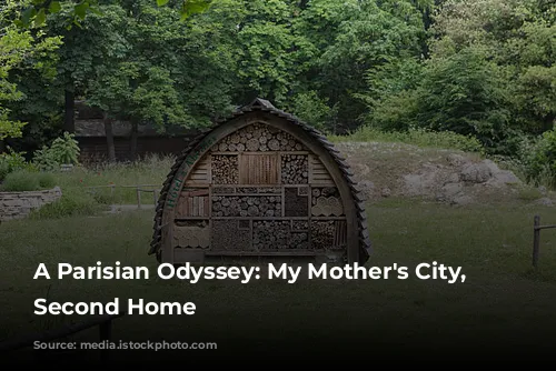 A Parisian Odyssey: My Mother's City, My Second Home