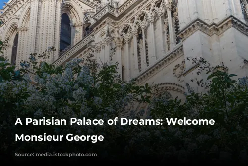 A Parisian Palace of Dreams: Welcome to Monsieur George