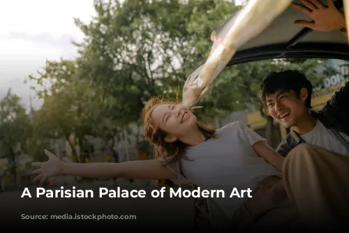 A Parisian Palace of Modern Art