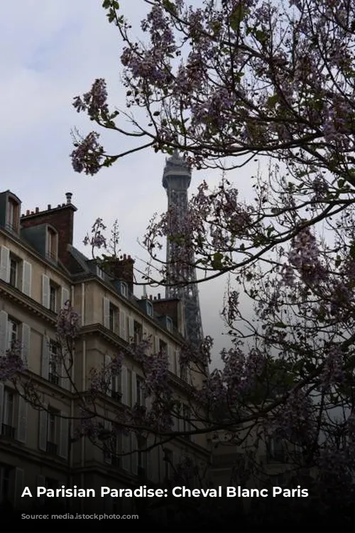 A Parisian Paradise: Cheval Blanc Paris