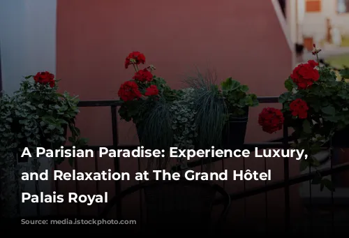 A Parisian Paradise: Experience Luxury, Style, and Relaxation at The Grand Hôtel du Palais Royal