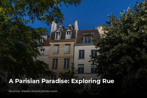 A Parisian Paradise: Exploring Rue Saint-Honoré