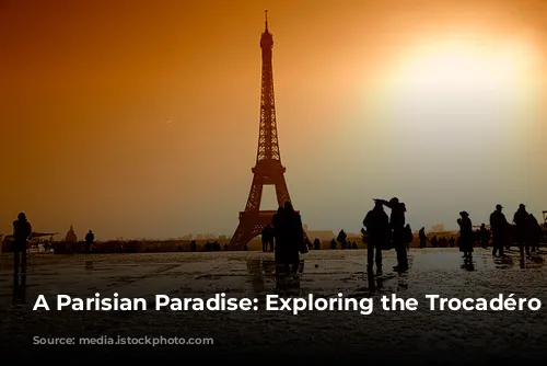 A Parisian Paradise: Exploring the Trocadéro