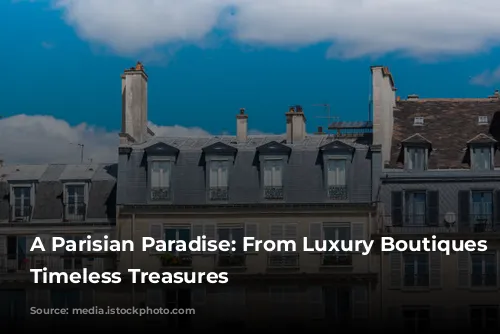 A Parisian Paradise: From Luxury Boutiques to Timeless Treasures