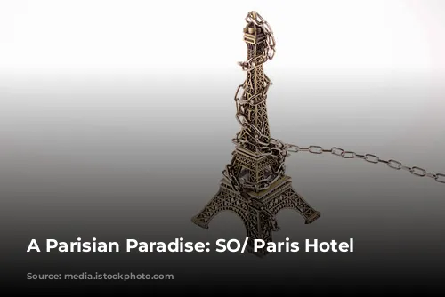 A Parisian Paradise: SO/ Paris Hotel