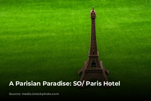 A Parisian Paradise: SO/ Paris Hotel