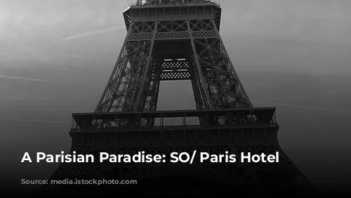 A Parisian Paradise: SO/ Paris Hotel